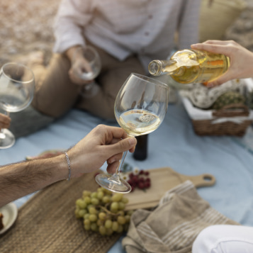 People sharing wine at a picnic
